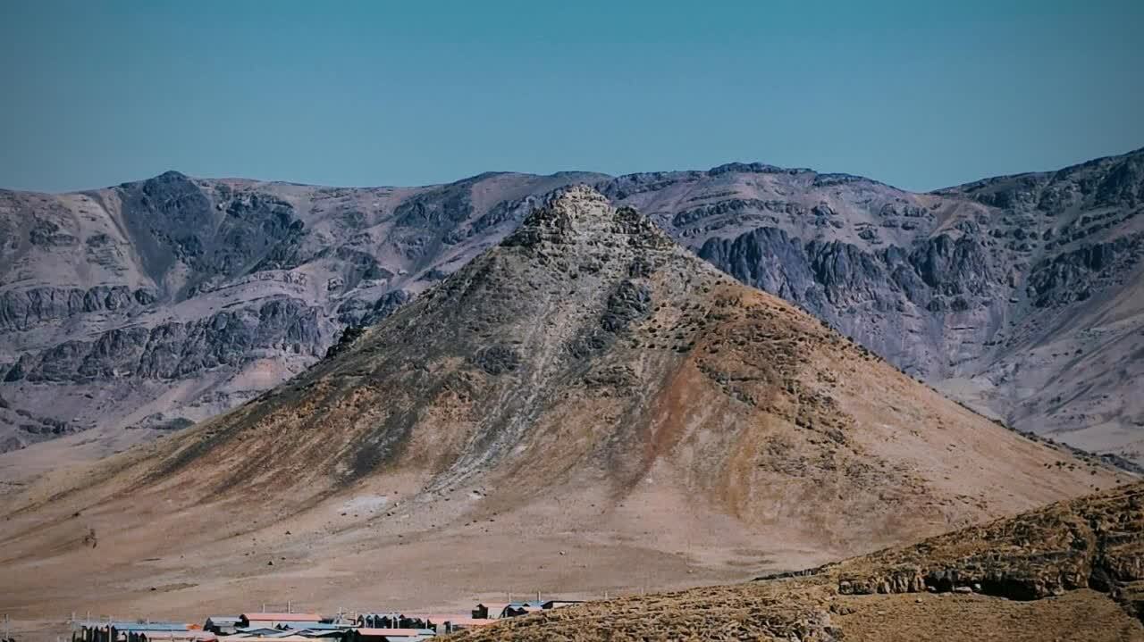 گندم کوه